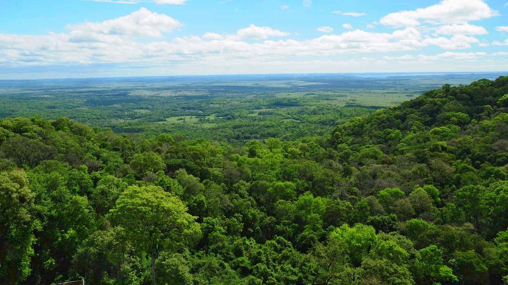Posada Del Chaman Iguazu Πουέρτο Ιγκουασού Εξωτερικό φωτογραφία